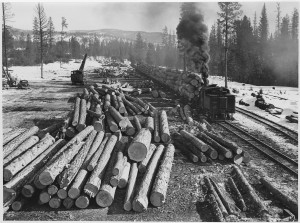 Loaded_log_train_on_narrow_gauge_railroad_of_Biles_Colemena_Lumber_Co__at__big_landing__on_the_old_Omak_Creek_unit_____-_NARA_-_298701